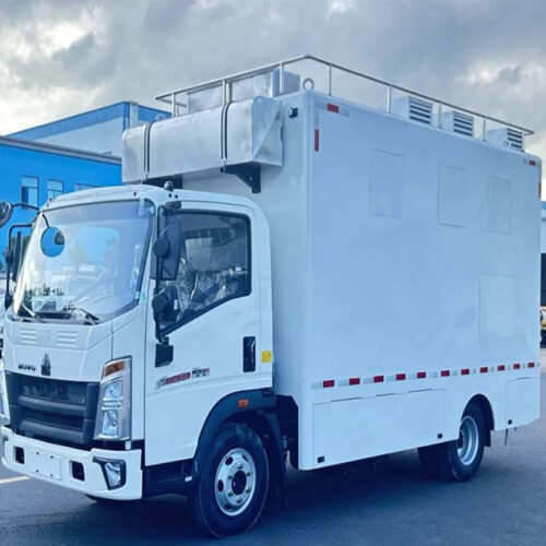 camion de cuisine grecque hawaiian city of houston asian greek food truck