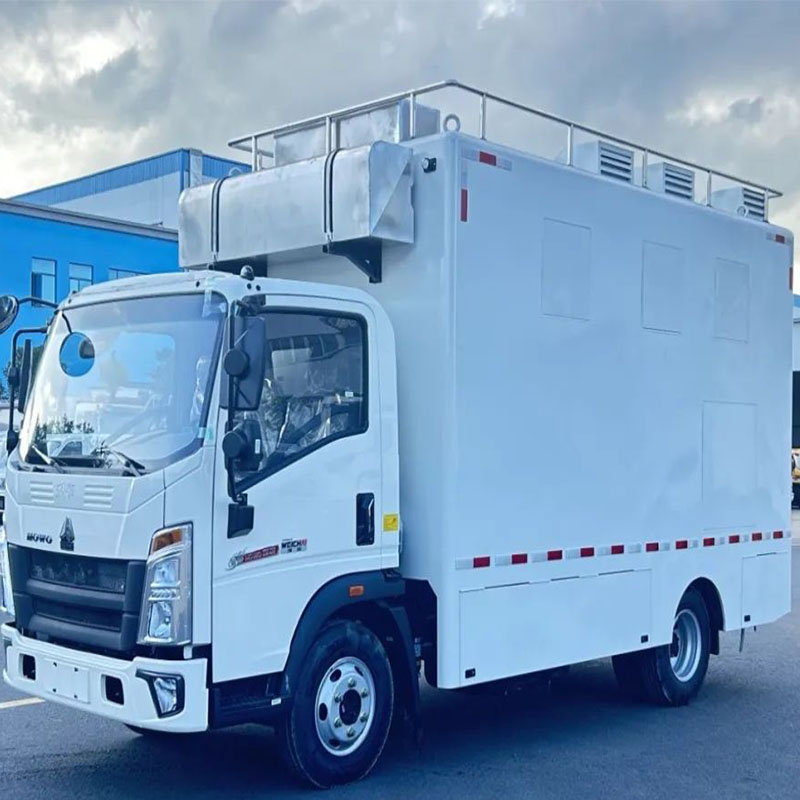 camion de cuisine grecque hawaiian city of houston asian greek food truck